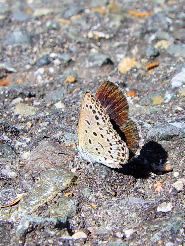 }gVW~ @s@킫^@Photo by Kohyuh@2005/09/15