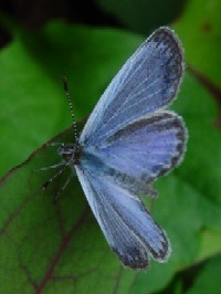 s}gVW~t@ʐ^̓NbNŊg傷